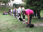 borfesztiv�l 21013.09.15.