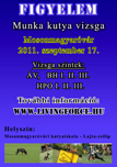 vizsga