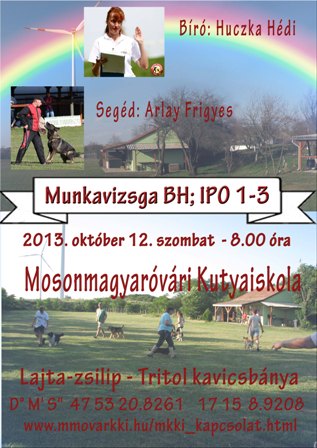 munkavizsga 2013